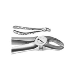 X-TRAC Extracting Forceps Size 1800 Upper Molar Right Ea