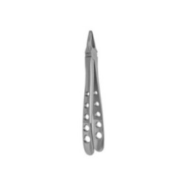 Extracting Forceps Size 1+ Upper Anterior Ea