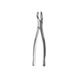 Extracting Forceps Size 53R Pointed 1st And 2nd Right Upper Molars Ea