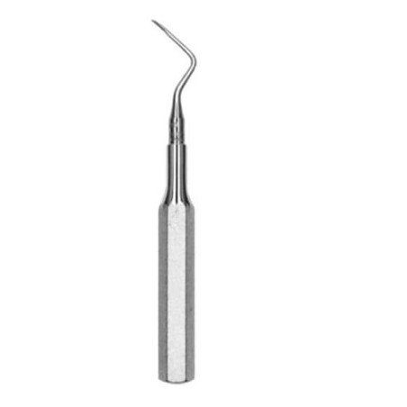 Root Tip Pick Size 5 West Apical No. 6 Ea