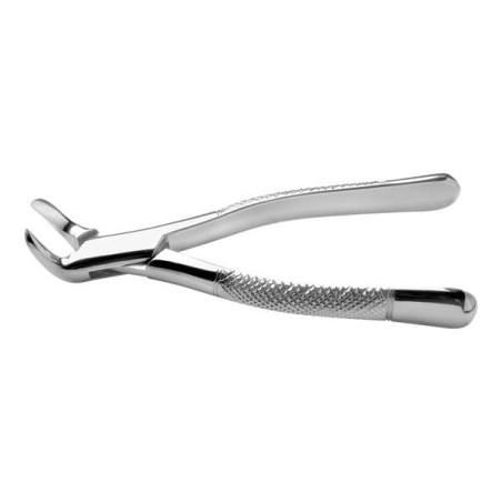 Extracting Forceps Size 6 Ea