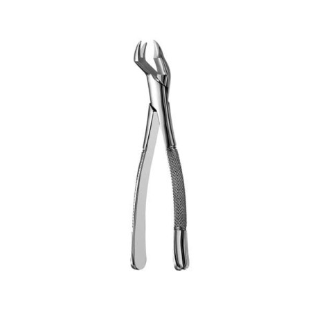 Extracting Forceps Size 88R Split 1st And 2nd Right Upper Molars Ea