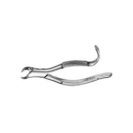 Extracting Forceps Size 16S Lower Molars Cowhorn Pedo Ea