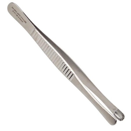 Tissue Forceps 6 in Ea