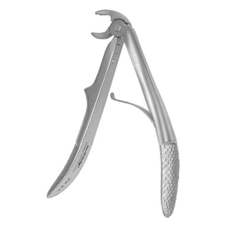 Extracting Forceps Size 2C Molar European Style Pedo Ea