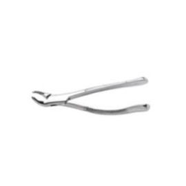 Extracting Forceps Size 151 SG Serrd Incsrs Bic & Rts Lwr Univ Ea