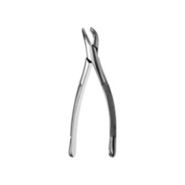 Extracting Forceps Size 151S Lower Primary Teeth And Root Ea