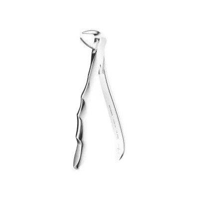 Extracting Forceps Anatomic N. 74