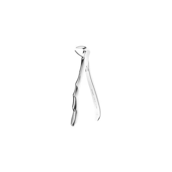 Extracting Forceps Anatomic N. 74