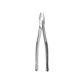 Atlas Extracting Forceps Apical Anterior Ea