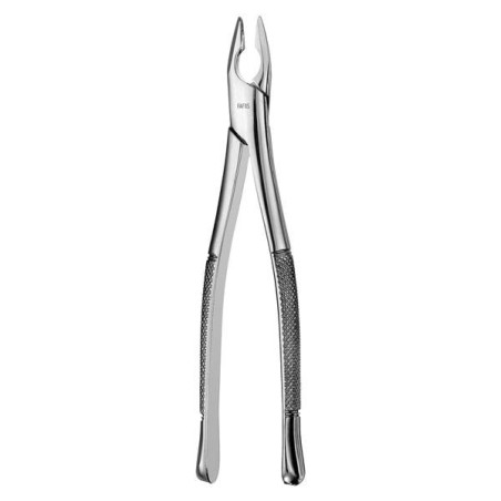 Atlas Extracting Forceps Apical Anterior Ea