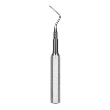 Root Tip Pick Size 6 West Apical No. 6 Ea