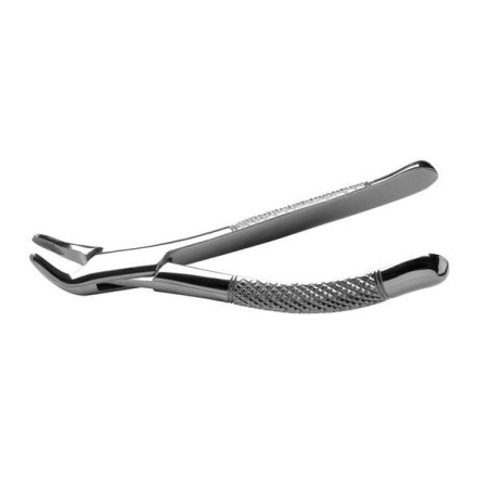 Extracting Forceps Size 151S SG Serrd 6 in Incsr Bic & Rt Lwr Univ Ea