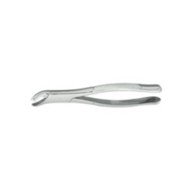 Extracting Forceps Size FE17 Ea