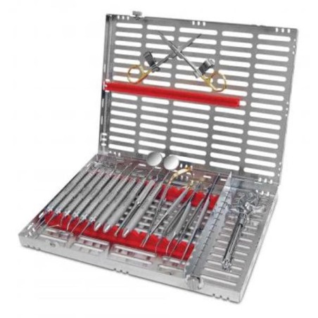 Oral Plastic Kit Stainless Steel Ea