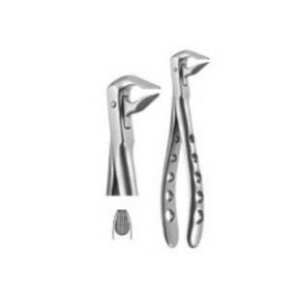 X-TRAC Extracting Forceps Size 3608T Tapered Lower Anterior Ea