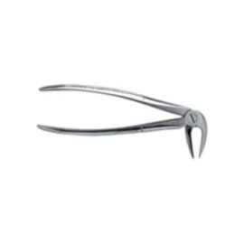 Extracting Forceps Large Adult Ea