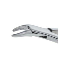 Extracting Forceps Size 150 Incisors Bicuspids And Roots Upper Universal Ea