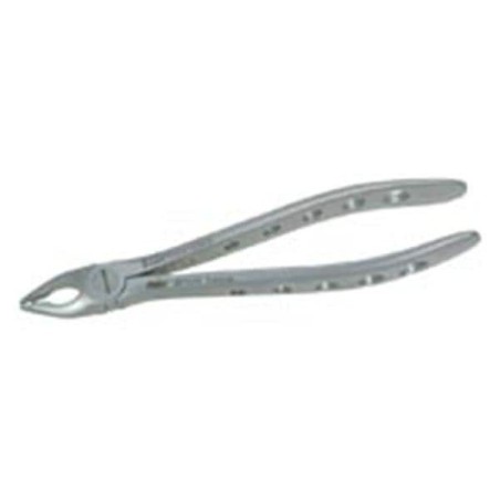 XCISION Extracting Forceps Size 34 Tapered Upper Anterior Ea