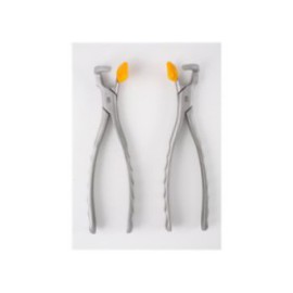 Physics Extracting Forceps Size GMX 400 Molar Ea