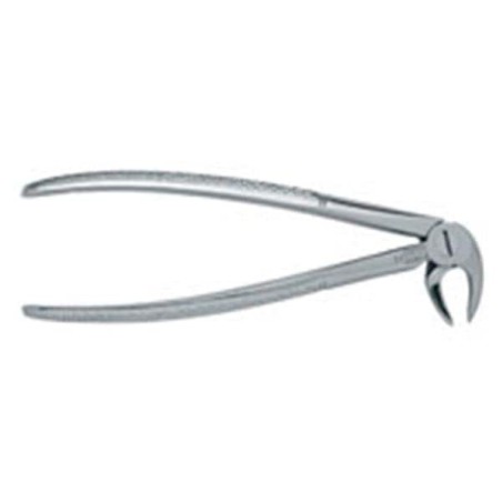 Extracting Forceps Size 3 Mead Ea