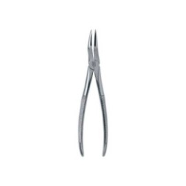 Extracting Forceps Large Adult Ea