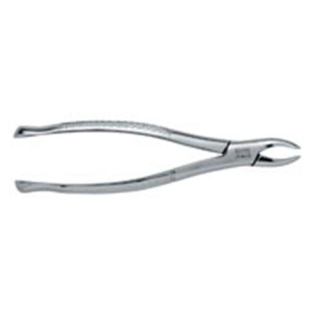 Extracting Forceps Size 101 Adult Ea