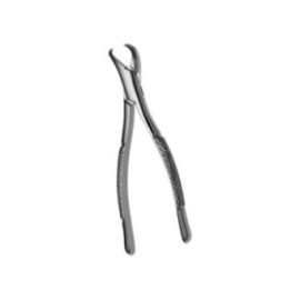 Extracting Forceps Size 23S Cow Horn 1st And 2nd Molars Pedo Ea