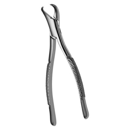 Extracting Forceps Size 23S Cow Horn 1st And 2nd Molars Pedo Ea