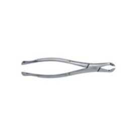 Extracting Forceps Size 222 Adult Ea