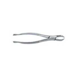 Extracting Forceps Size 88R Adult Ea