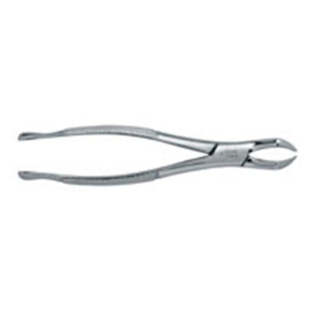 Extracting Forceps Size 88R Adult Ea