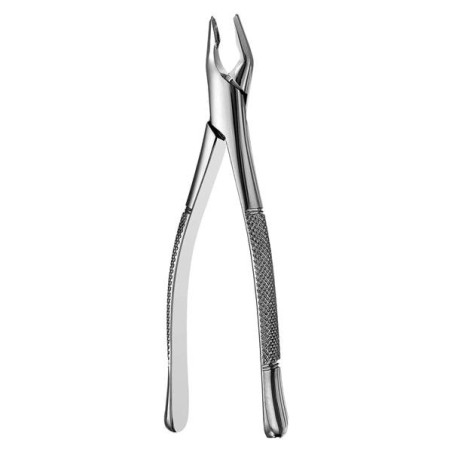 Extracting Forceps Apical Upper Universal Ea