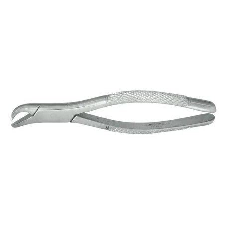 Extracting Forceps Size 23S Mandibular Universal Pedo Ea