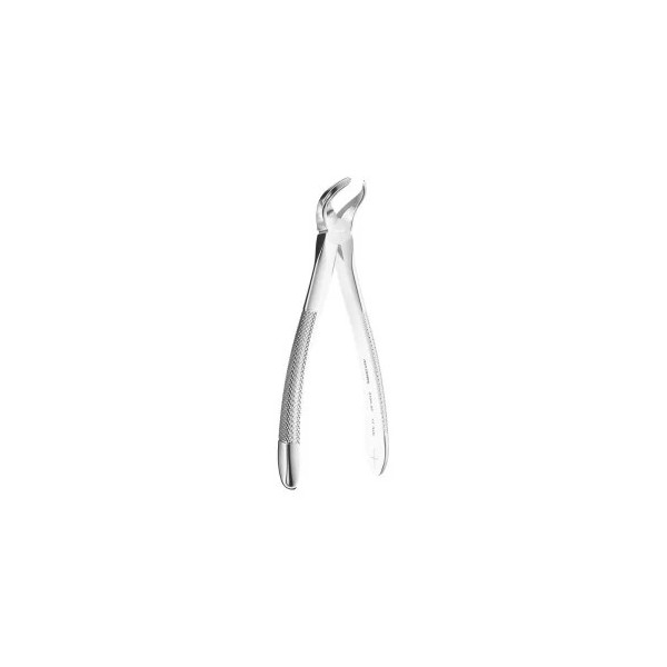 Extracting Forceps N. 87