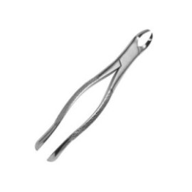 Extracting Forceps Size 90 7 in Adult Ea