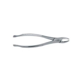 Extracting Forceps Size 150S Adult Ea