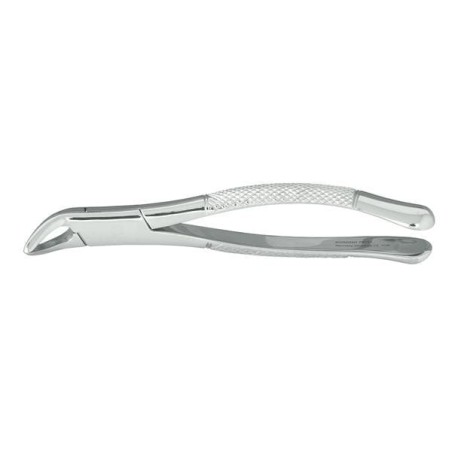 Extracting Forceps Size 151 Lower Universal Ea