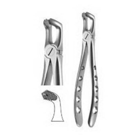 X-TRAC Extracting Forceps Size 7990 Tapered Lower Universal Ea