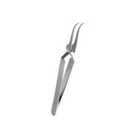 Buccal Tube Bonder Tweezers Ea