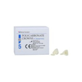 Polycarbonate Replacement Crowns Size 34 Right Cuspid Upper & Lower Refill 5/Bx