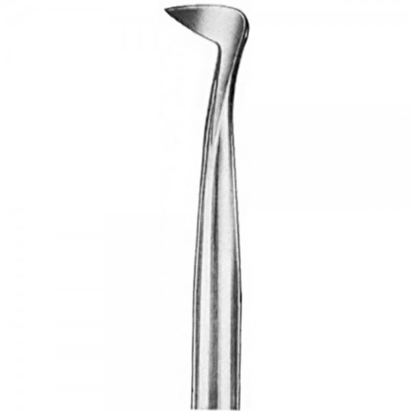 Root Elevator Seldin Right