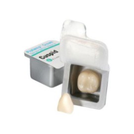 Protemp Composite Crowns Large Cuspid Refill 5/Pk