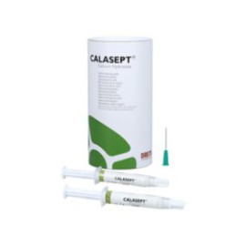 Calasept Paste Temporary Sealer Ea