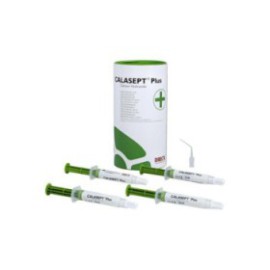 Calasept Plus Endo Temporary Sealer Ea