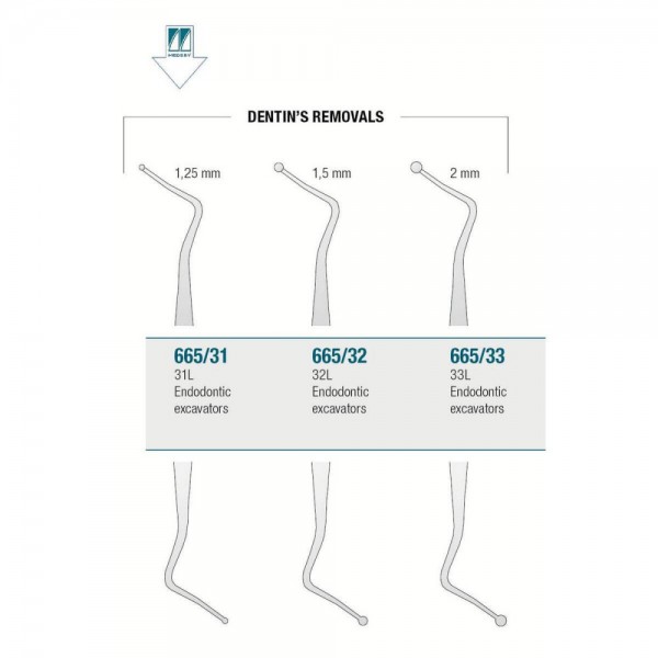 Endodontic Excavator 31L