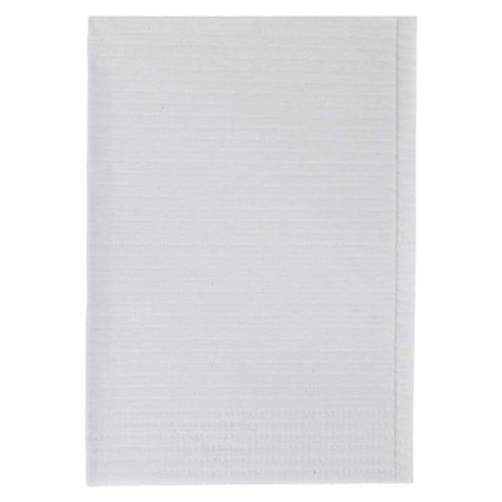 Econoback Patient Towel 2 Ply Tissue / Poly 13 in x 19 in Wt Disposable 500/Ca