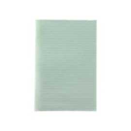 Essentials Patient Bib 2 Ply Tissue / Poly 13 in x 18 in Green Disposable 500/Ca