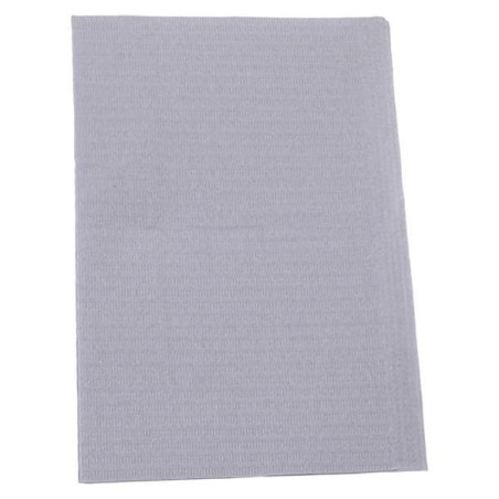 Essentials Patient Bib 2 Ply Tiss/Poly 13 in x 18 in Slvr/Gry Disposable 500/Ca