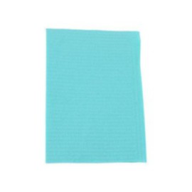 Essentials Patient Bib 2 Ply Tissue / Poly 13 in x 18 in Aqua Disposable 500/Ca